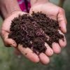 Vermicompost 5kg Bag