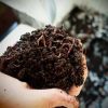 Vermicompost 40kg Bag